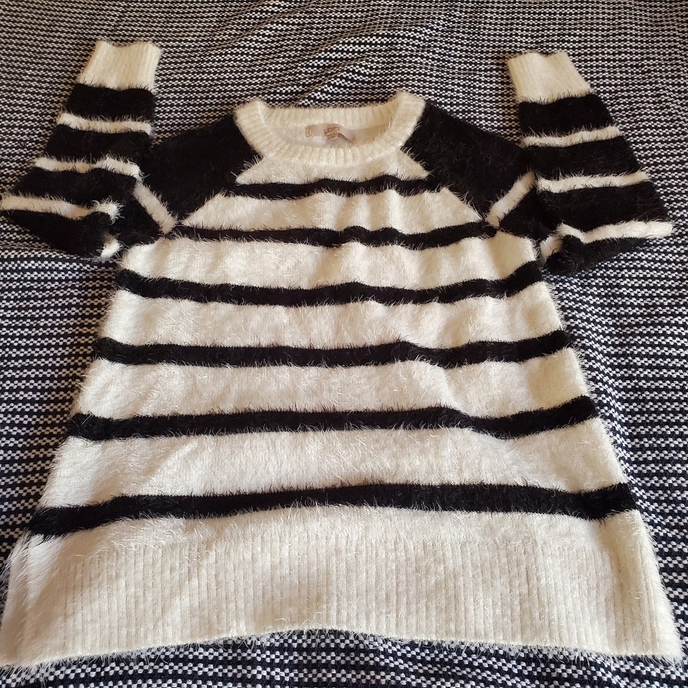 LOFT sweater